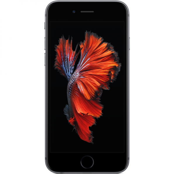 iPhone 6S 16 Go - Gris Sidéral
